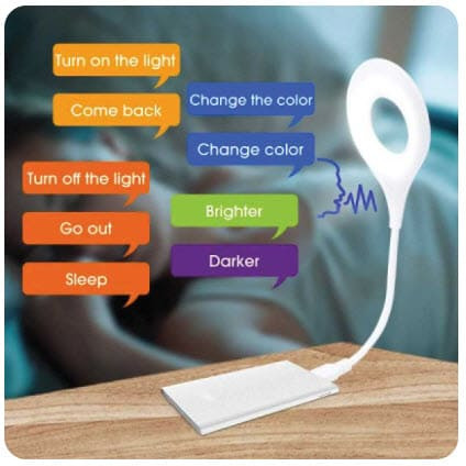 Smart voice control light